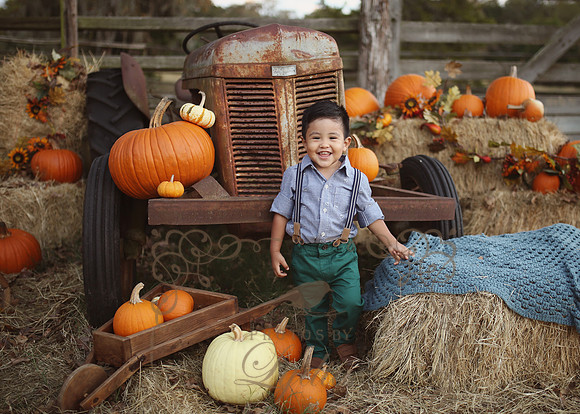 Fall Minis (31)