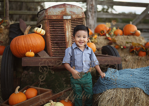 Fall Minis (33)