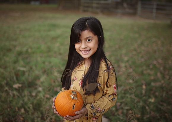 Fall Minis (34)