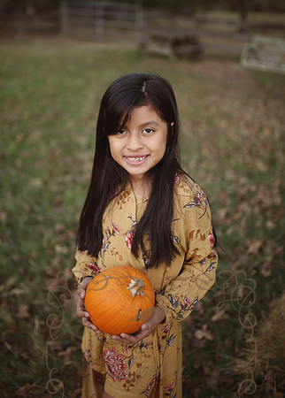Fall Minis (36)