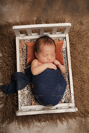 Aiden-0855