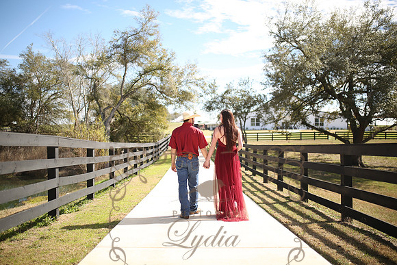 ZE (40)