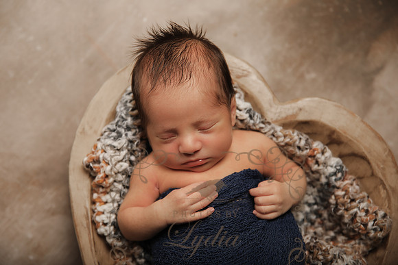 Aiden-0881