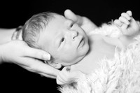 IMG_0700bw