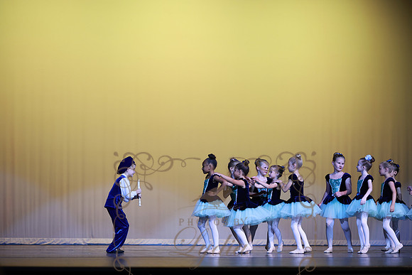 Pied Piper (39)
