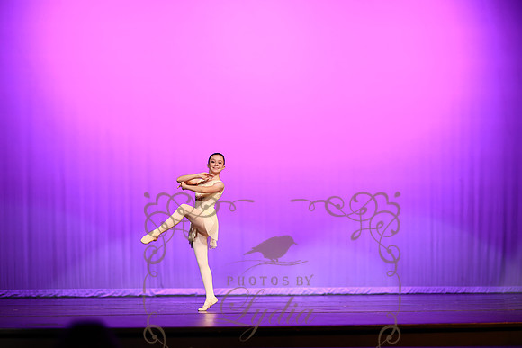 Don Quixote (32)