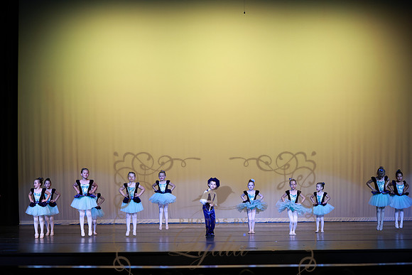 Pied Piper (67)