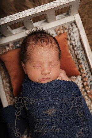 Aiden-0837