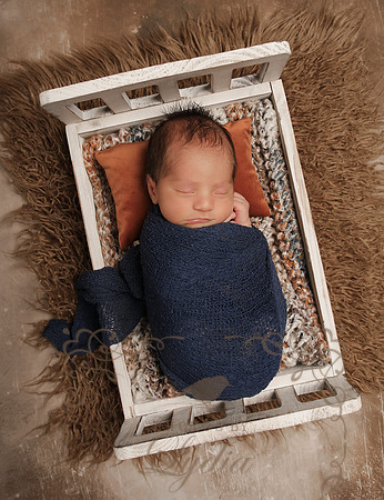 Aiden-0836