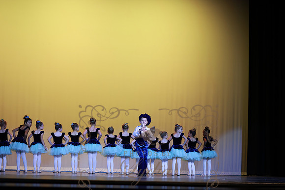 Pied Piper (61)