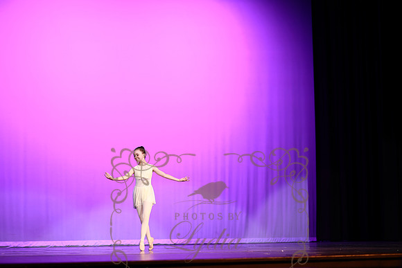 Don Quixote (14)