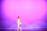 Don Quixote (17)
