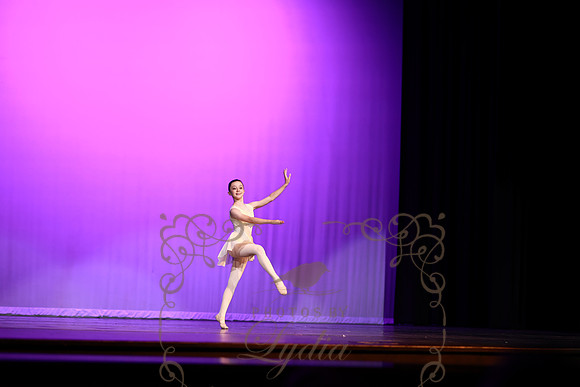 Don Quixote (29)