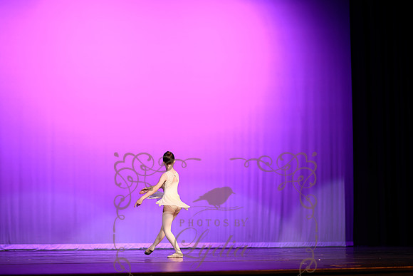 Don Quixote (21)