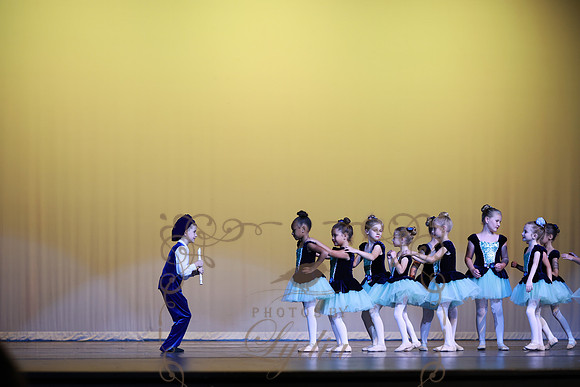 Pied Piper (40)