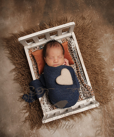 Aiden-0830