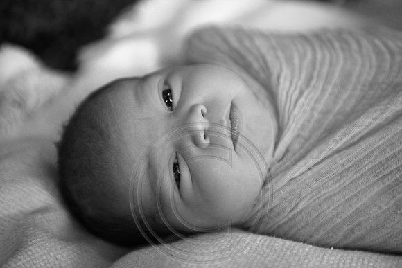 IMG_1084bw