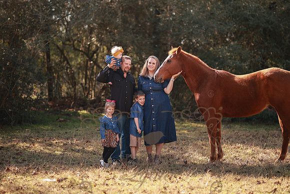 Family-129