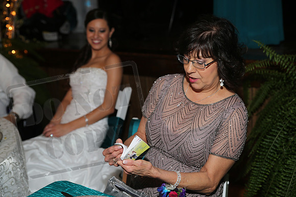Reception (77)