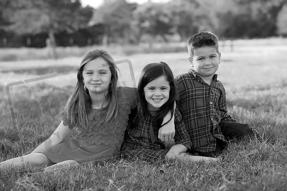 5V3B7302bw