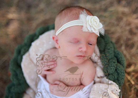 Addisyn (71)