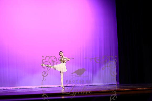 Don Quixote (12)