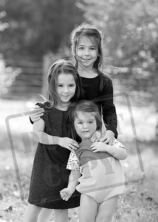 5V3B8514bw