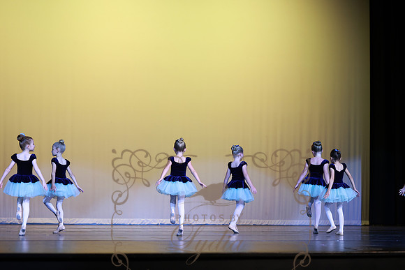Pied Piper (24)