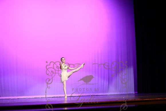 Don Quixote (11)