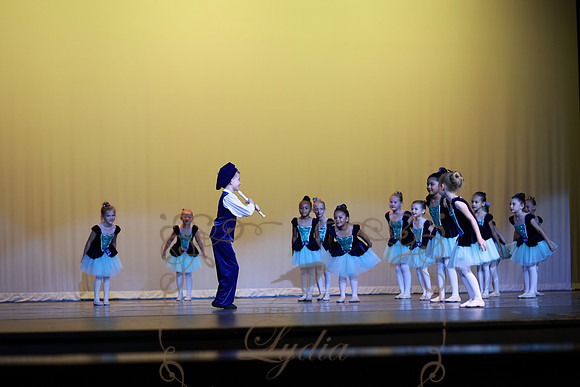 Pied Piper (34)