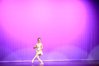 Don Quixote (16)