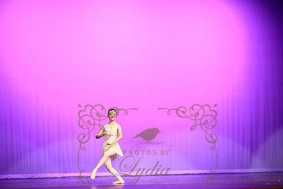 Don Quixote (16)