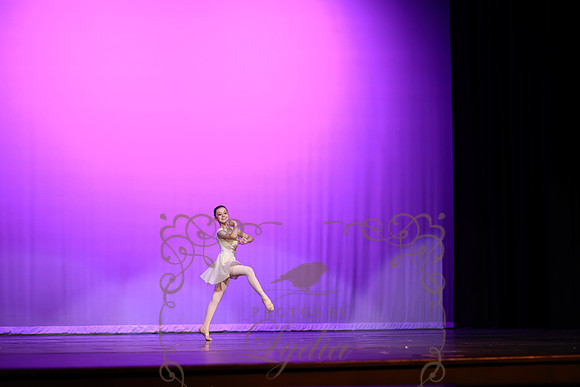 Don Quixote (26)