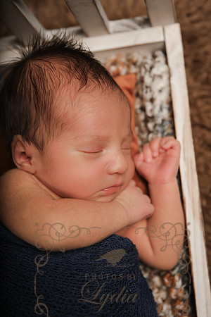 Aiden-0851