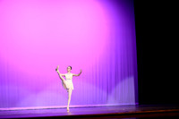 Don Quixote (6)
