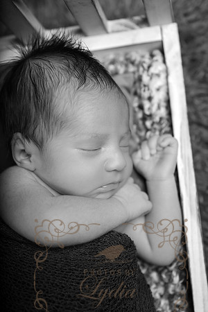 Aiden-0851b