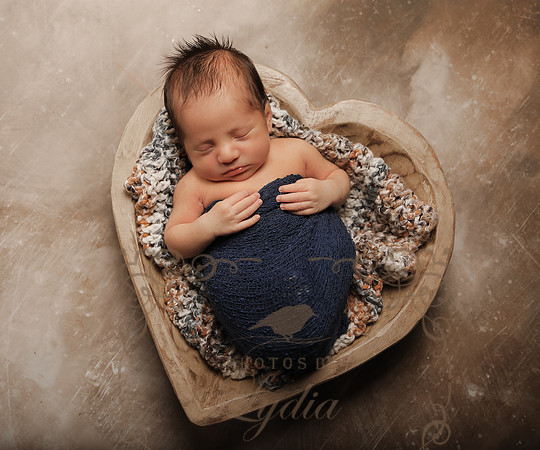 Aiden-0884