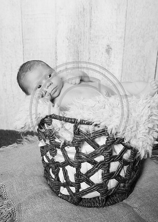 IMG_0222bw