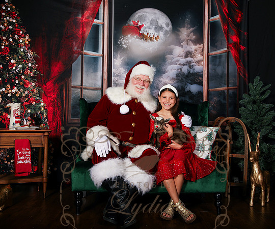 Santa-293