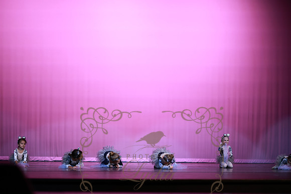 Cinderella (2)