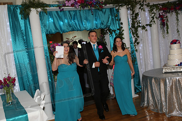 Reception (17)