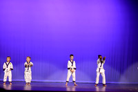 Taekwondo (9)