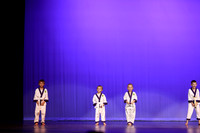 Taekwondo (8)
