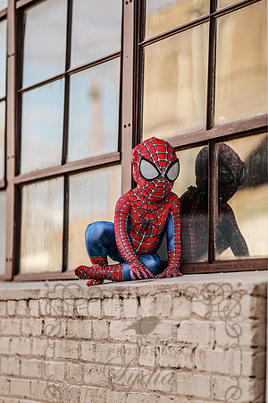 Spiderman-29