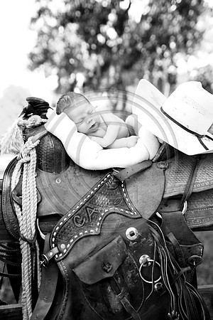 IMG_0257bw