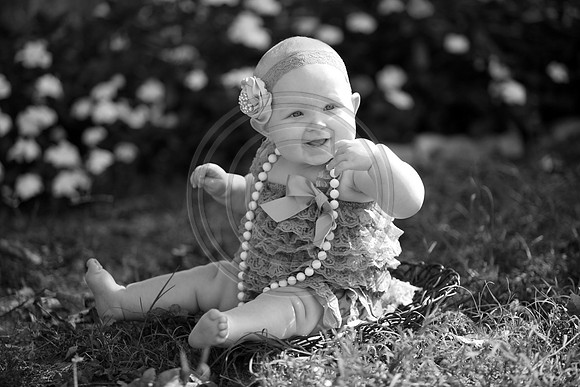 IMG_0140bw