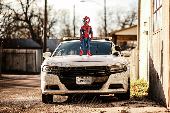 Spiderman-53 copy