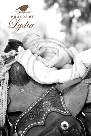 IMG_0251b copy