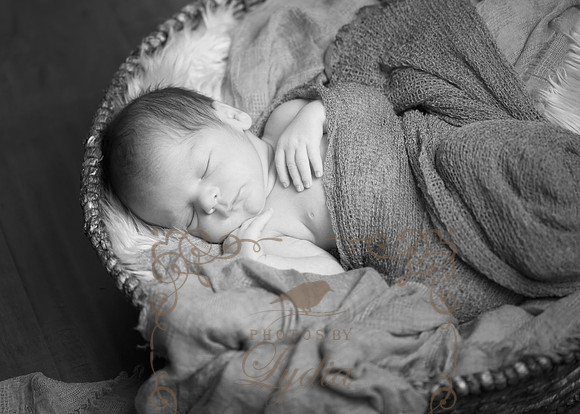 IMG_9780bw