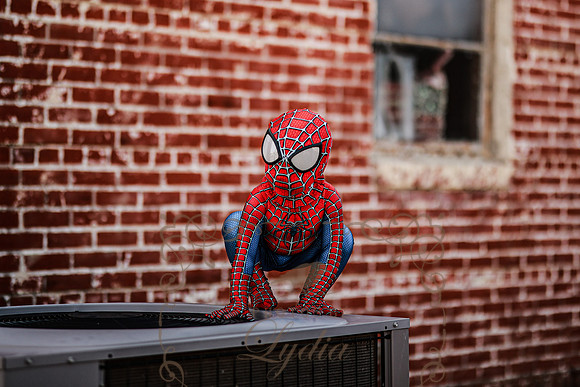Spiderman-47
